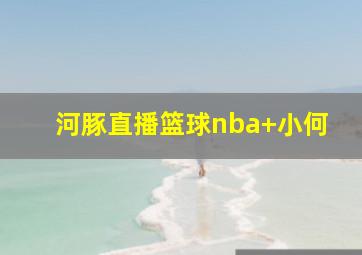河豚直播篮球nba 小何